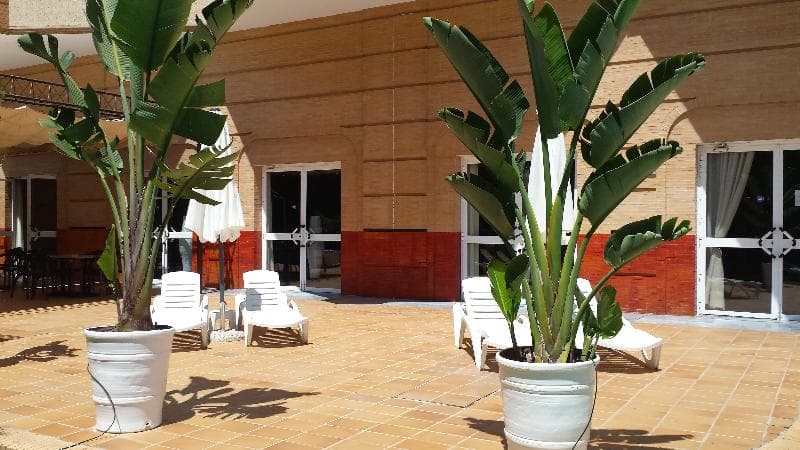 Hotel TRH La Motilla 2