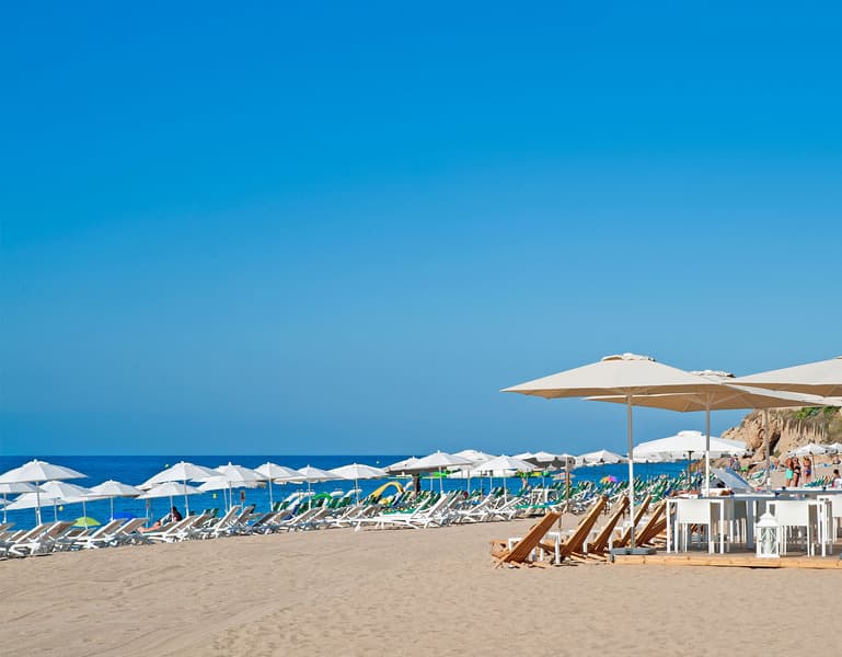 Kaktus Playa 4