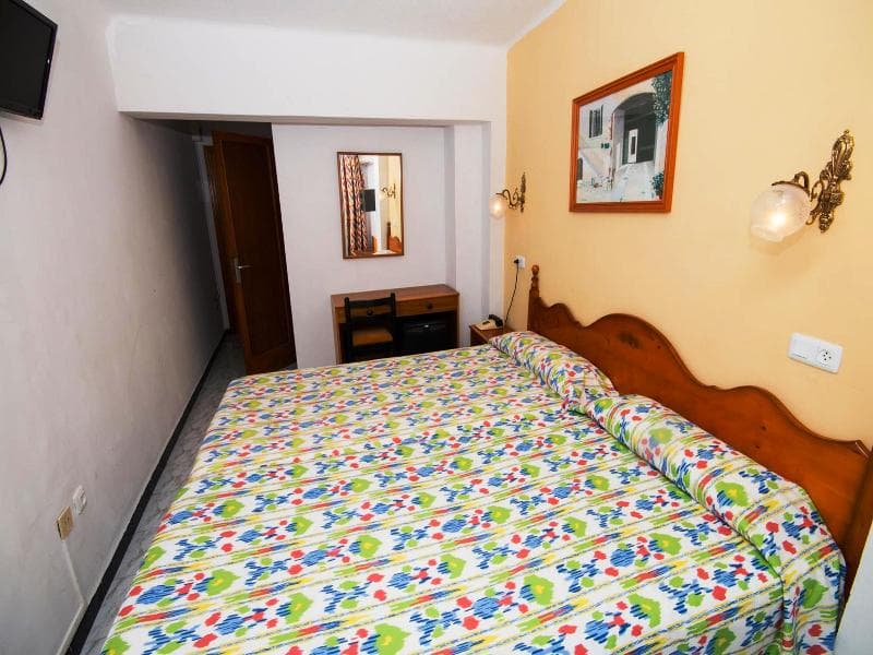Amic Can Pastilla 5