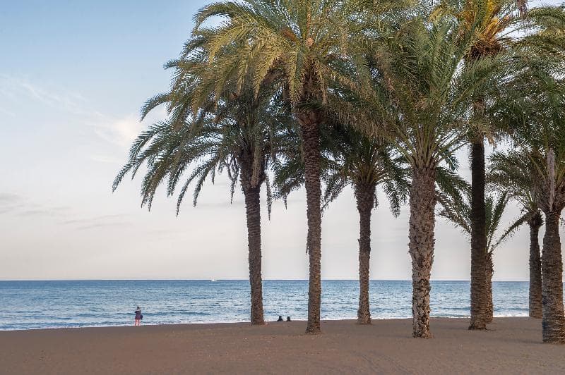 Hotel Costa Malaga by Pierre & Vacances 3