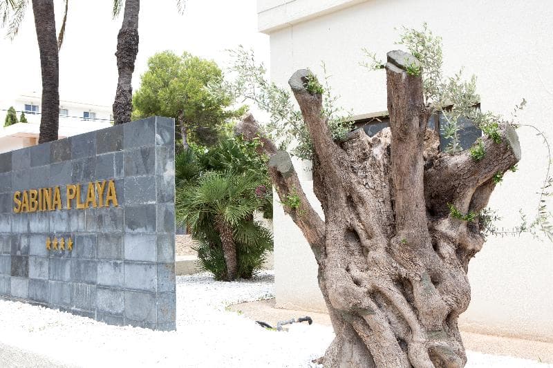 Hotel Sabina Playa 5