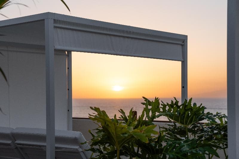 HOVIMA Jardin Caleta 3