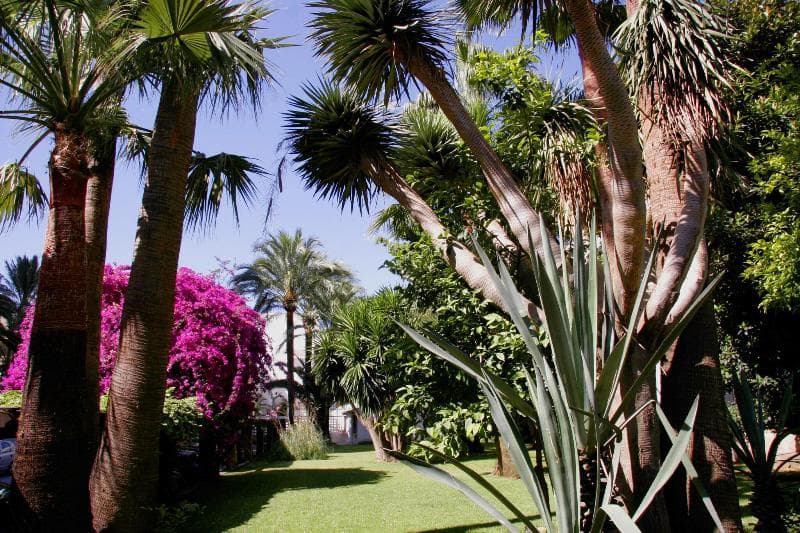 Hotel Apartamentos Bajondillo 3