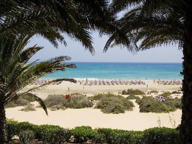 SBH Monica Beach 4