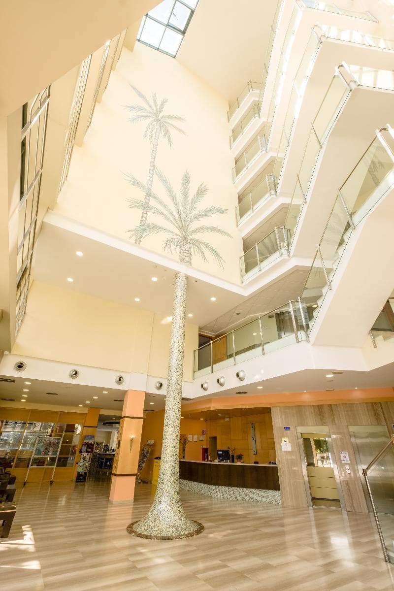 California Palace 3