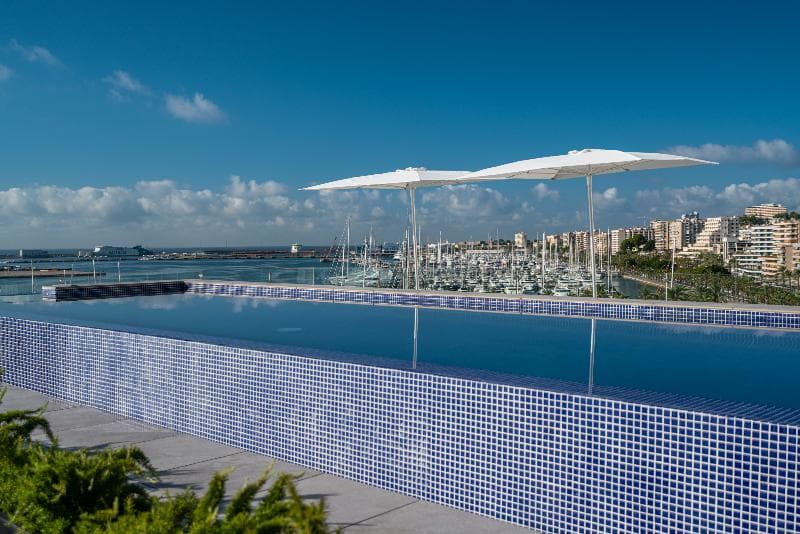 Mirador 5