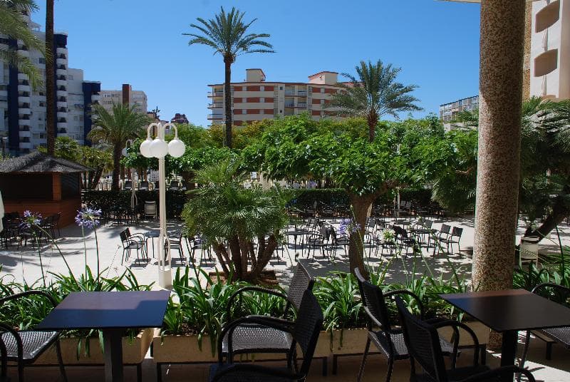 Los Robles 3