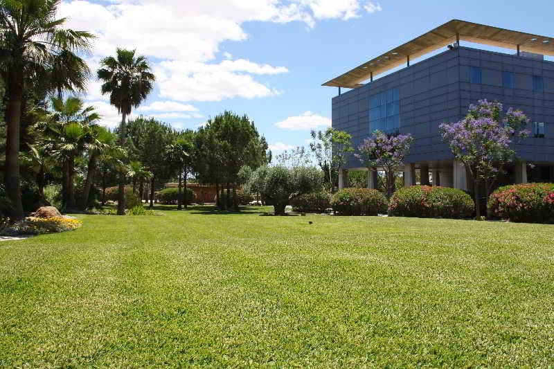 Hotel Jardines de Amaltea 3
