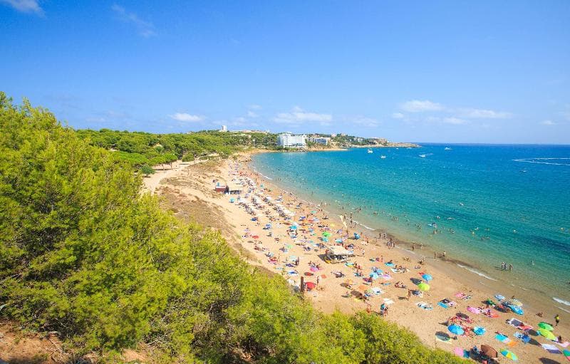 htop Molinos Park 3