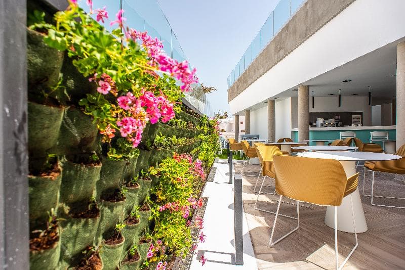 Hotel  Taimar 2
