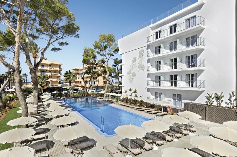 Hotel Riu Concordia 4