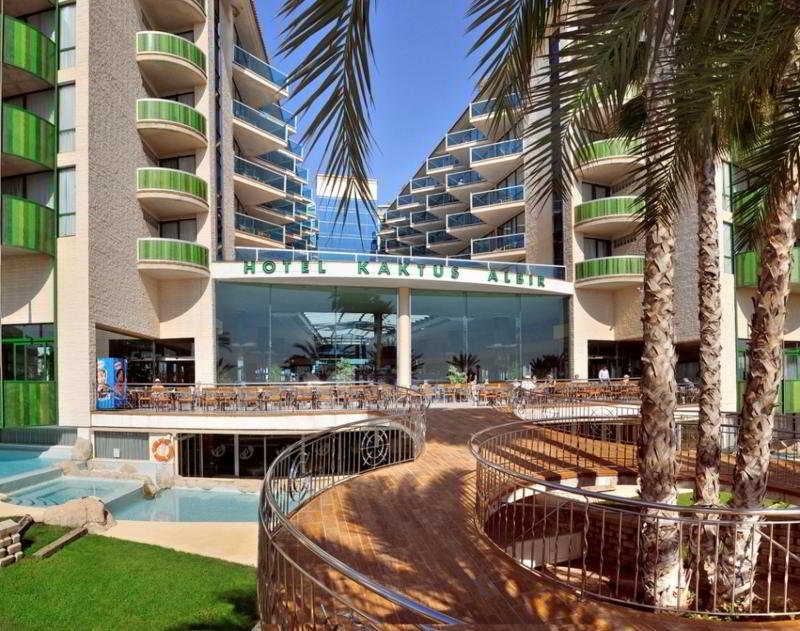 Kaktus Albir 3