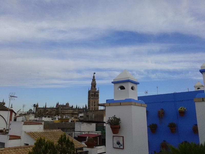 Murillo 5