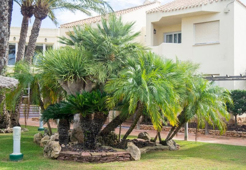Villas la Manga 4