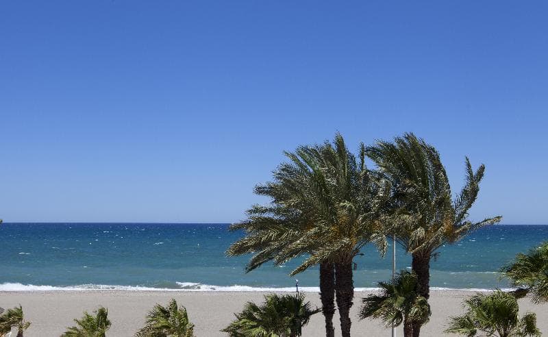 Playavera 3