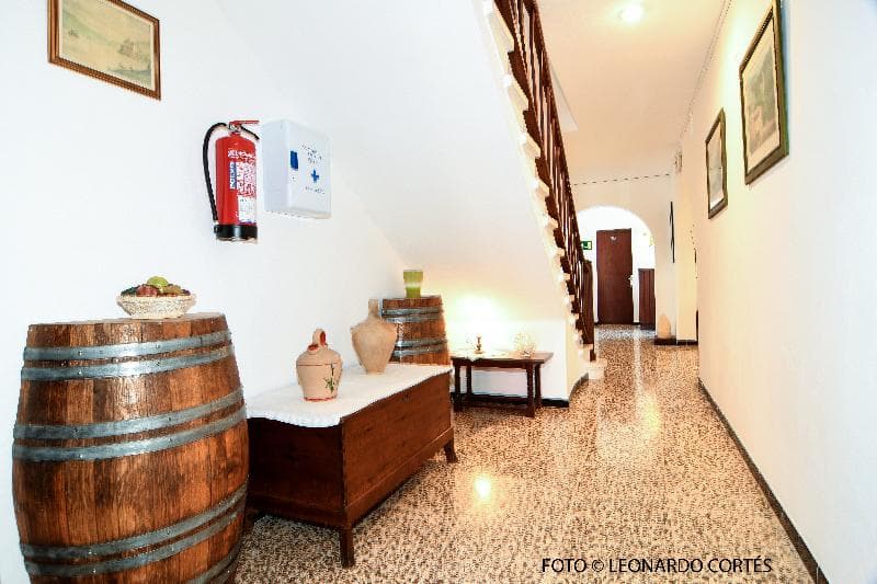 La Ceiba 2