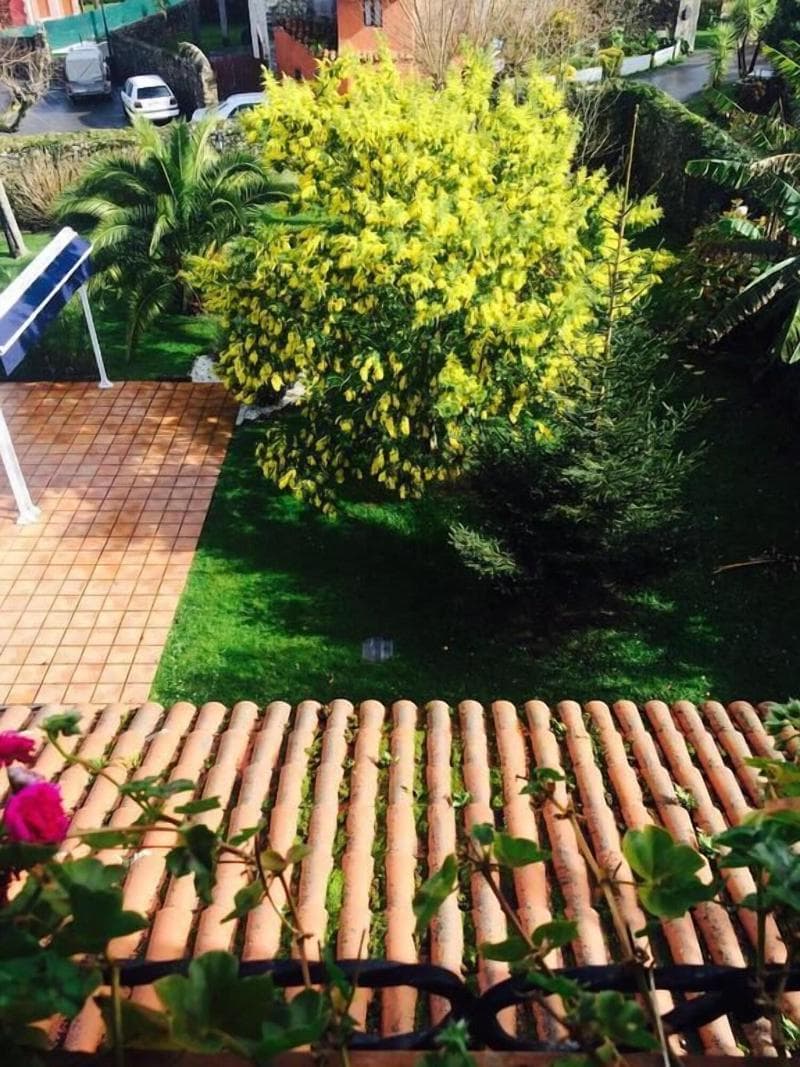 La Casona de Nueva 2