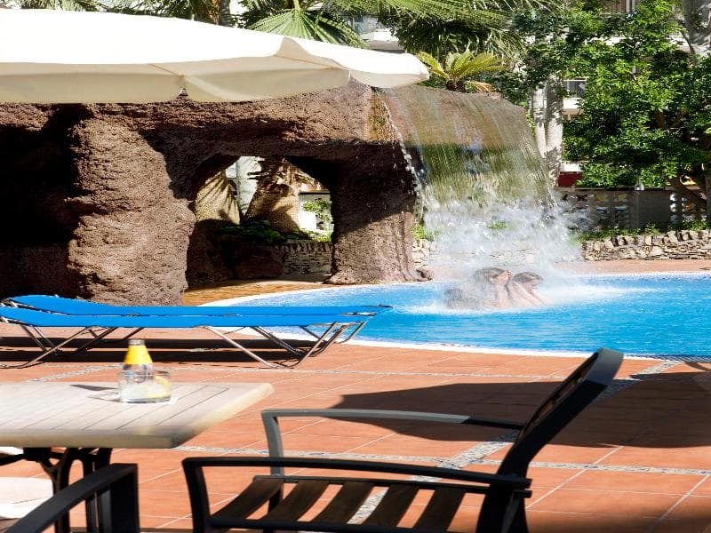 H10 Delfin Only adults 2