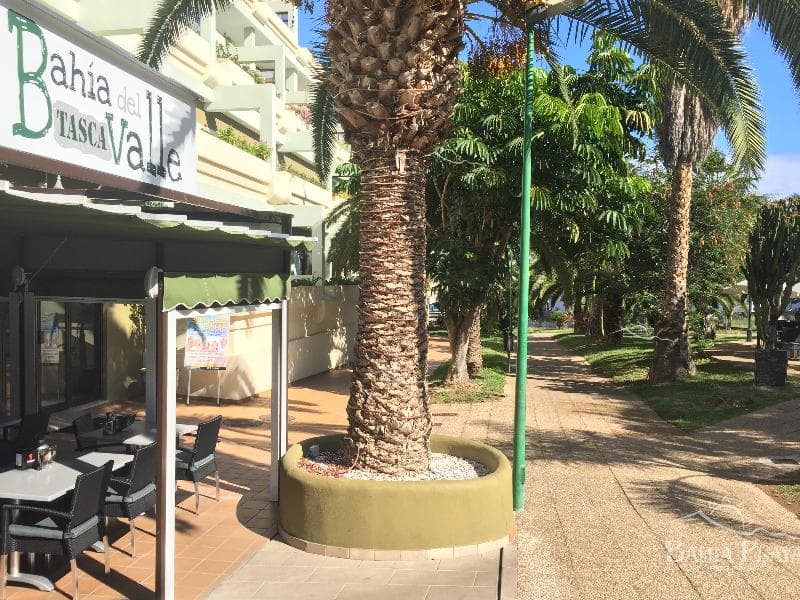 Bahia Playa 4