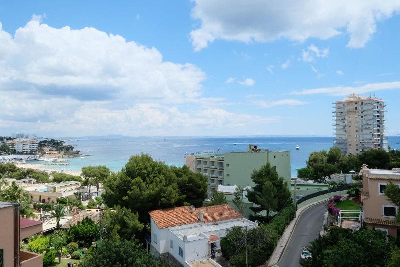 Azuline Palmanova Gardens 4