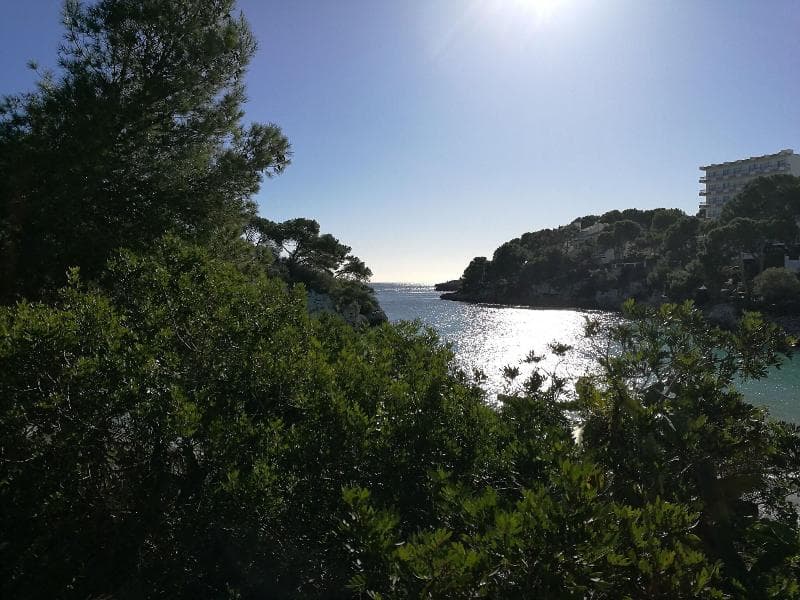 Cala Ferrera 5