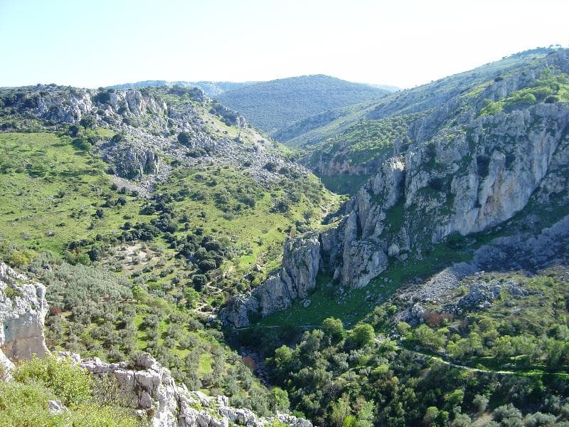Zuhayra 5