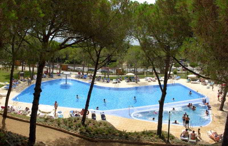 Ciutat de Palol 3