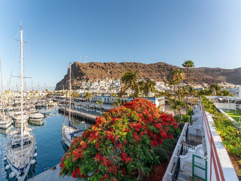 Hotel LIVVO Puerto de Mogán 5