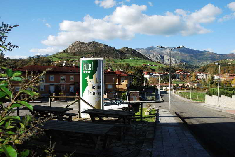 Los Acebos de Arriondas 4