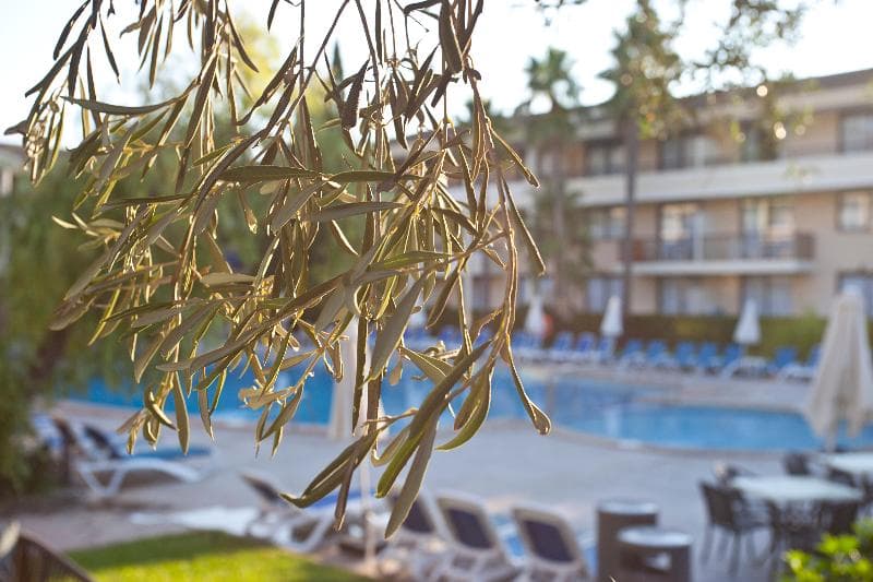 Hotel Eu Bahia Pollensa