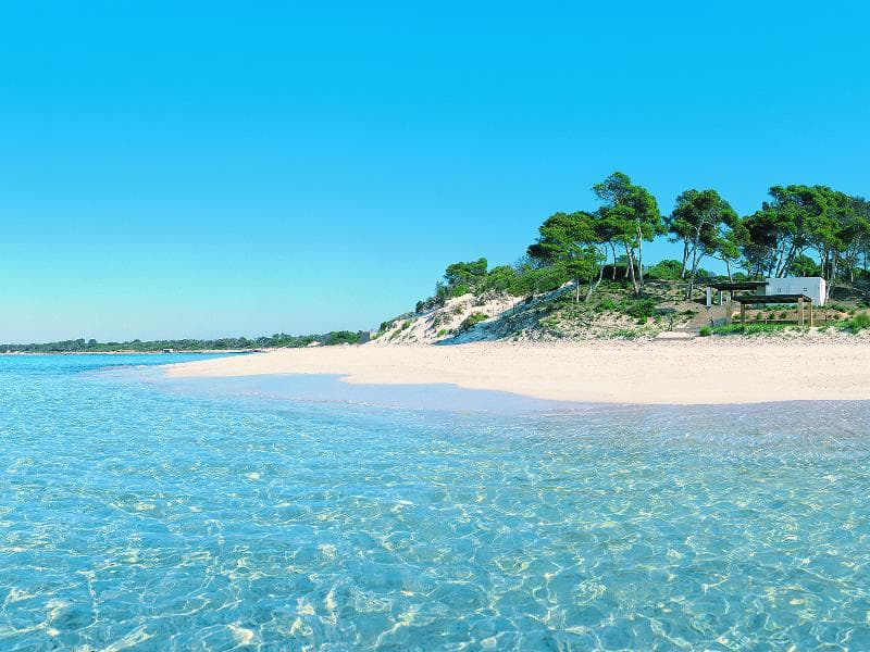 Blau Colonia Sant Jordi Resort 4
