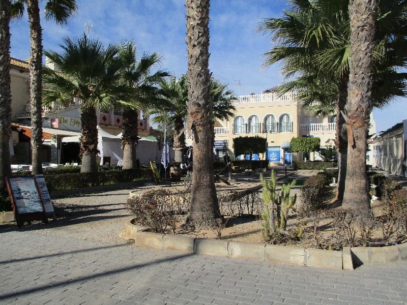 Marina Internacional