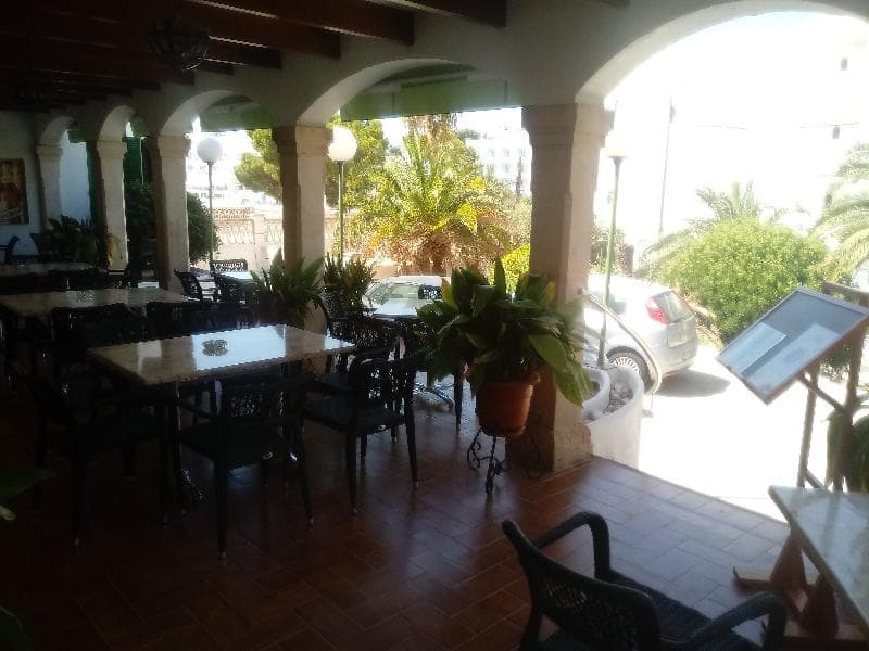 Oasis D'or 2