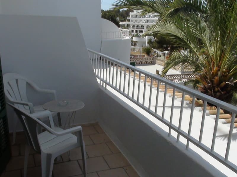 Oasis D'or 5
