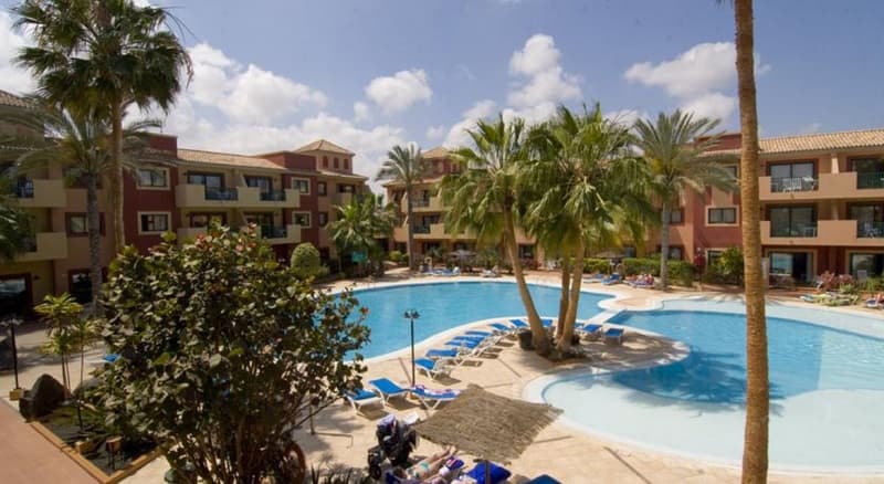 O7 Aloe Corralejo 4