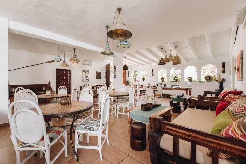 Petunia Ibiza - Adults Only 4