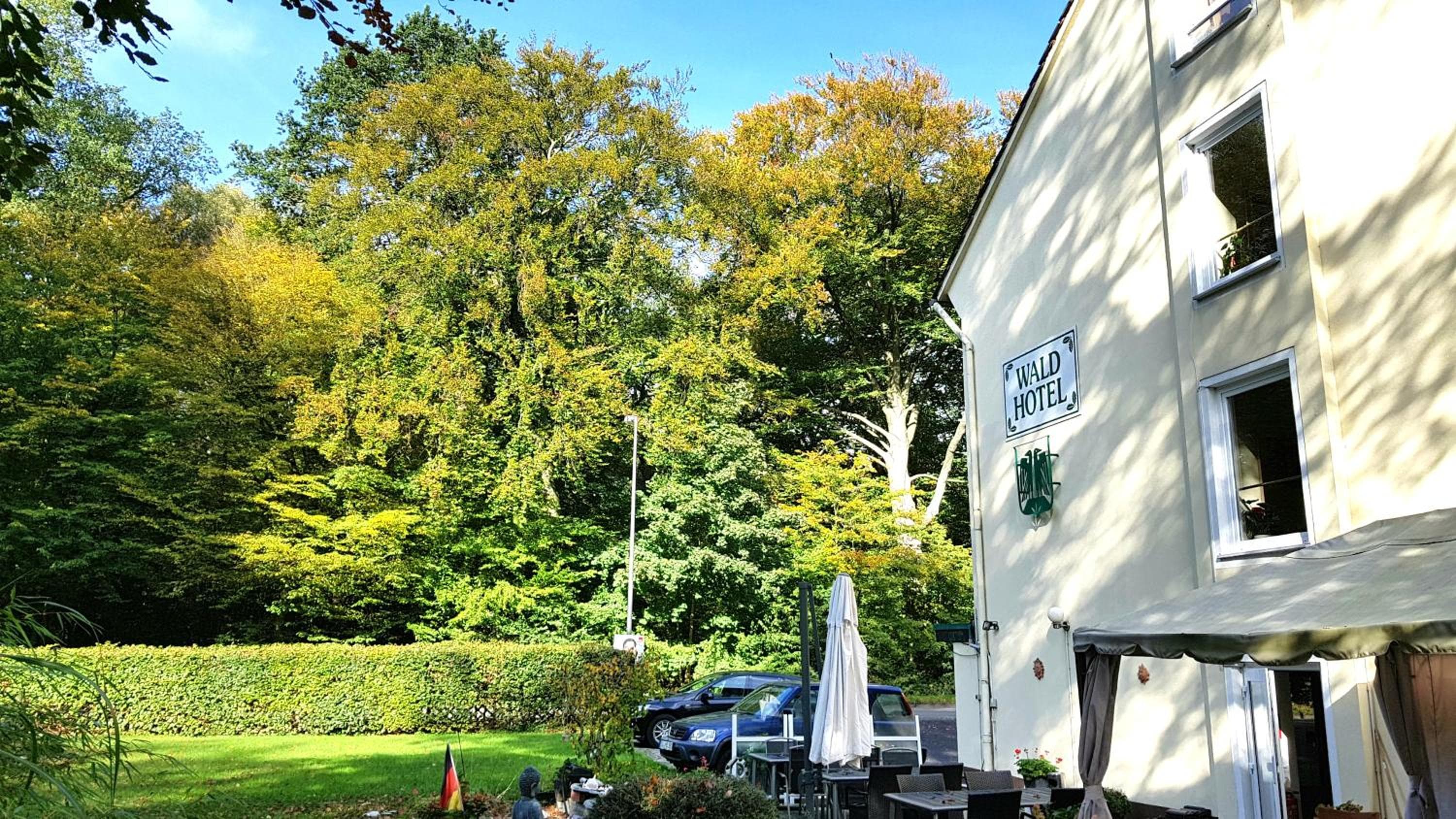 Wald-Hotel