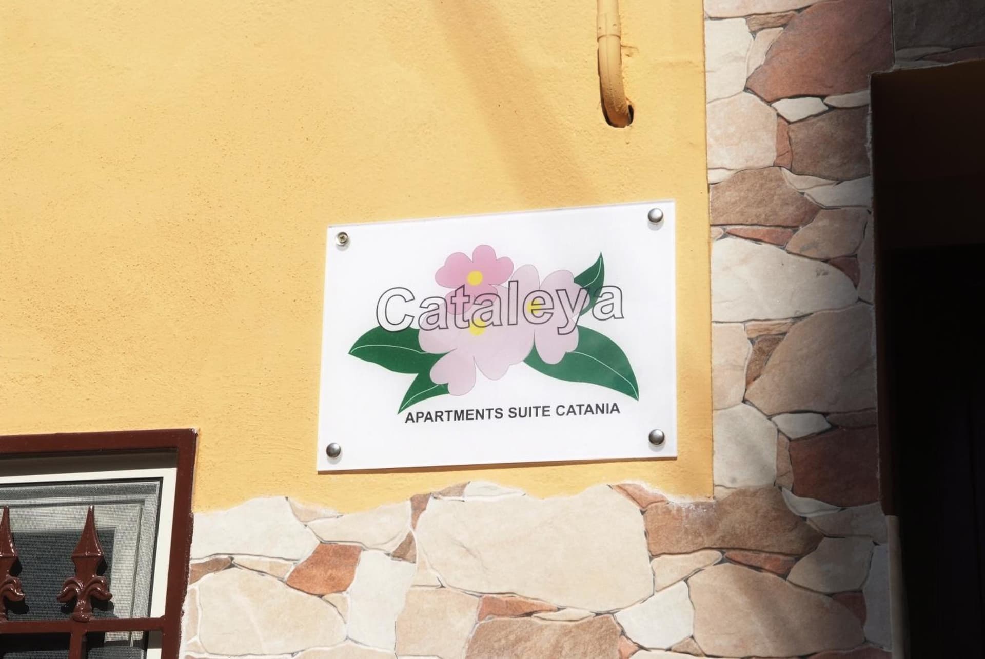 Cataleya
