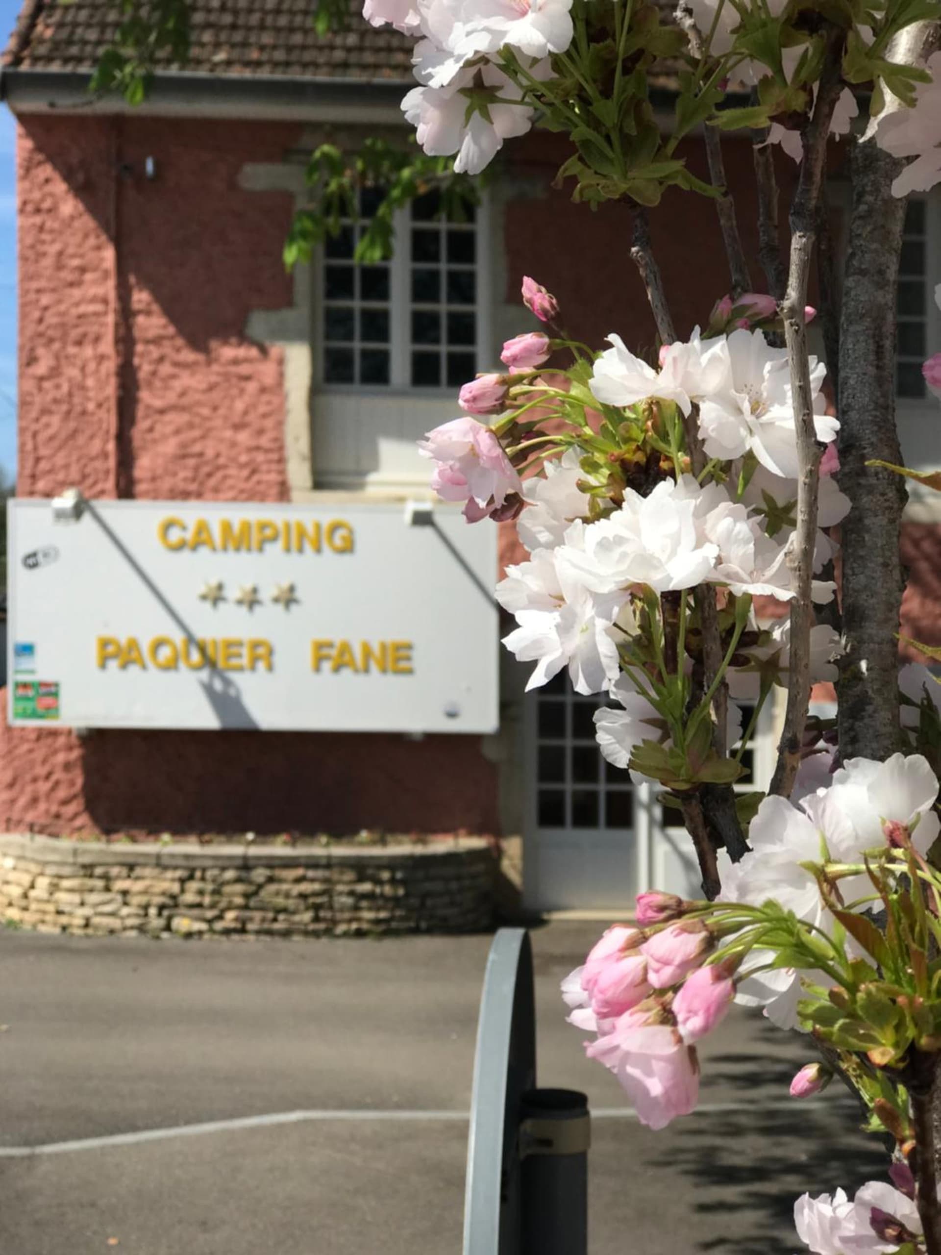 Camping Du Paquier Fané
