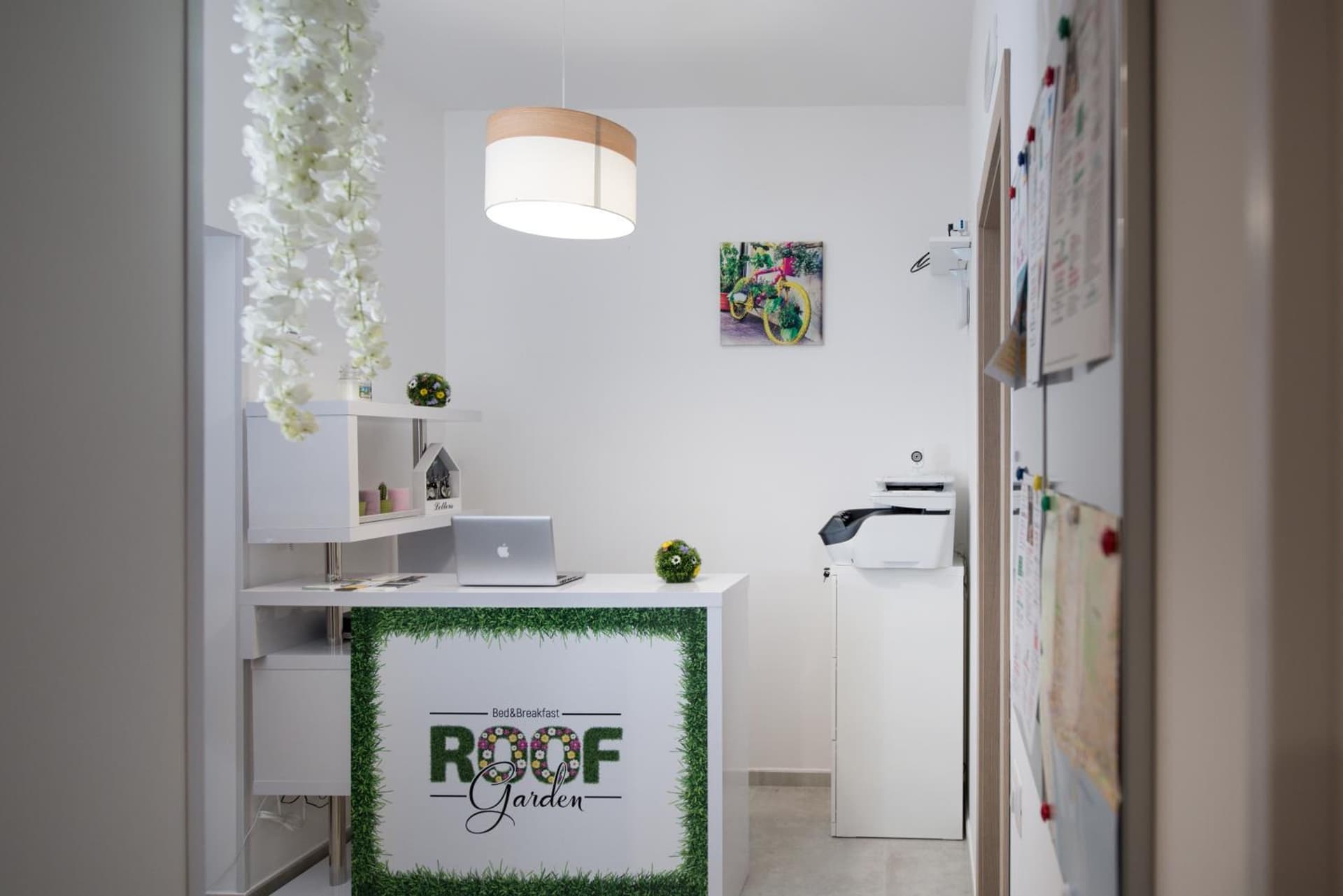 Roof Garden