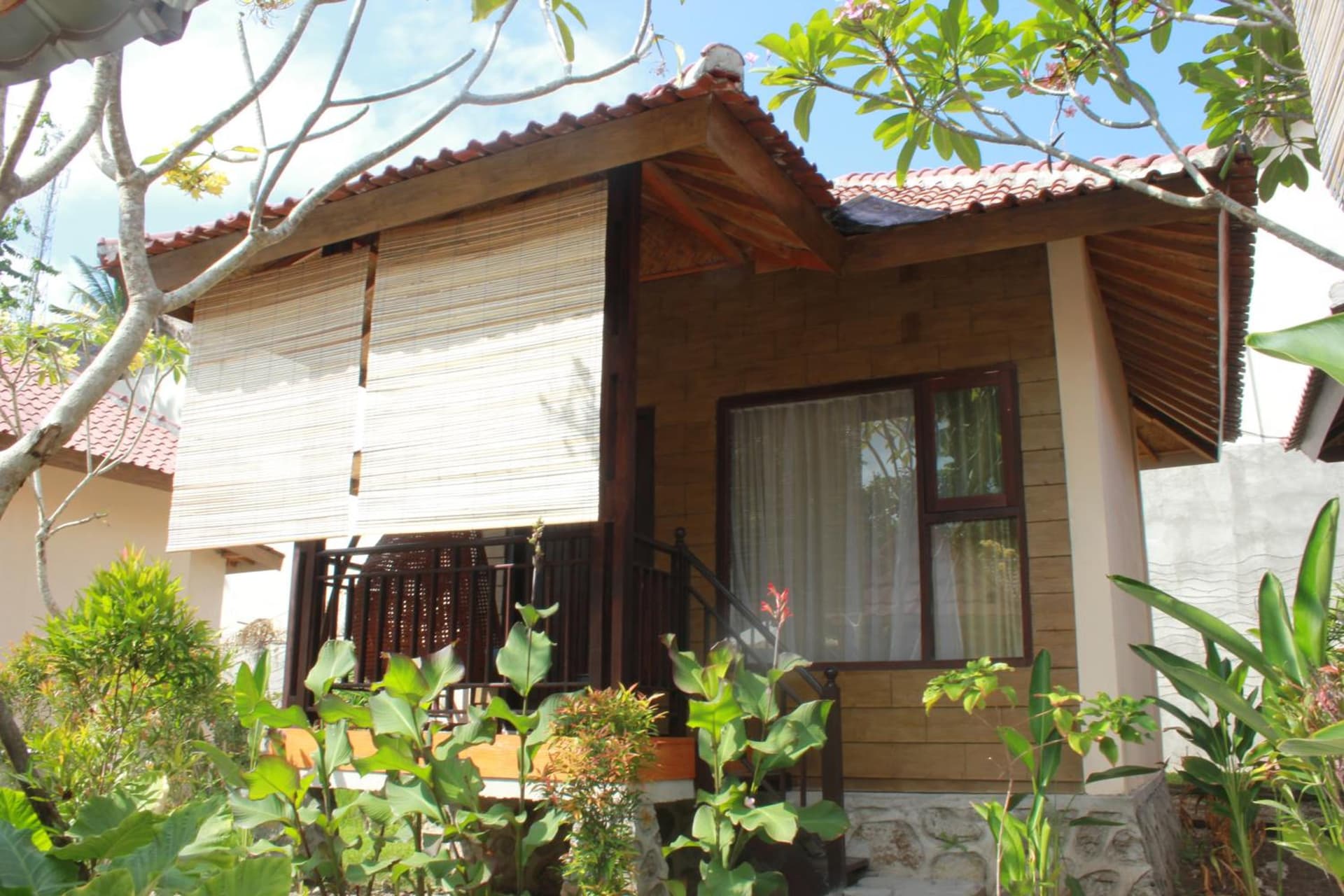 ZiFa Mandalika