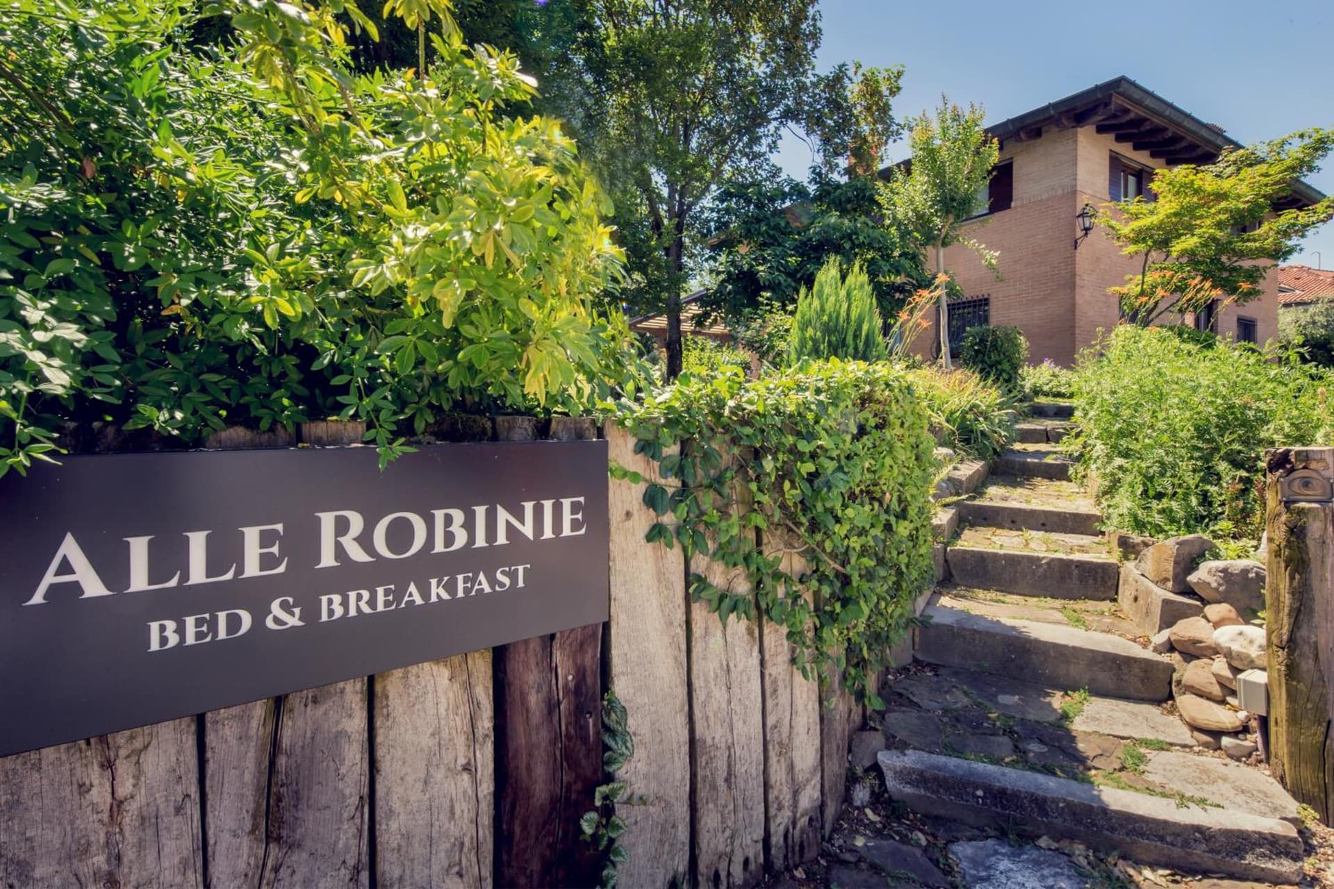 Alle Robinie