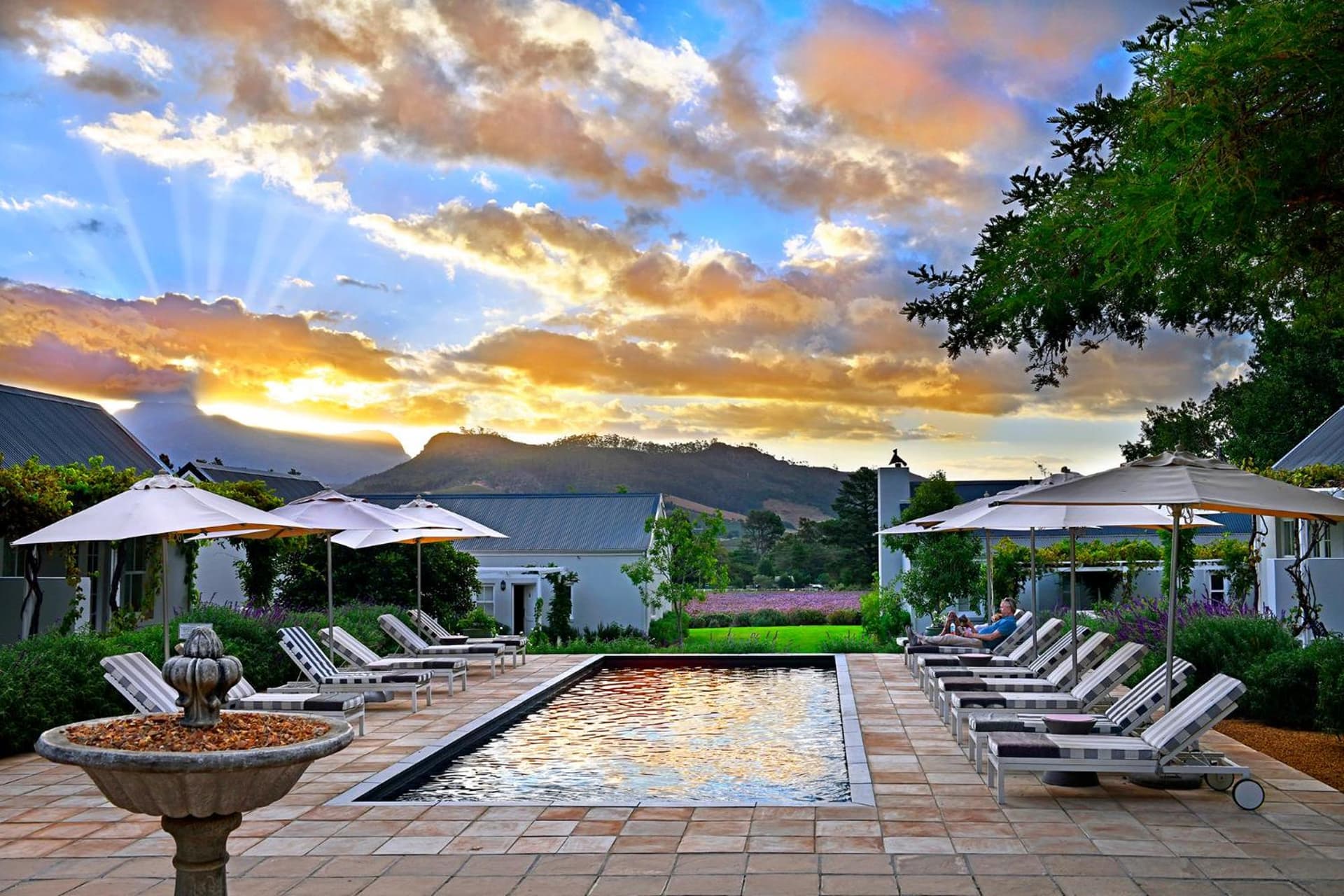 Lavender Farm Boutique Guest House