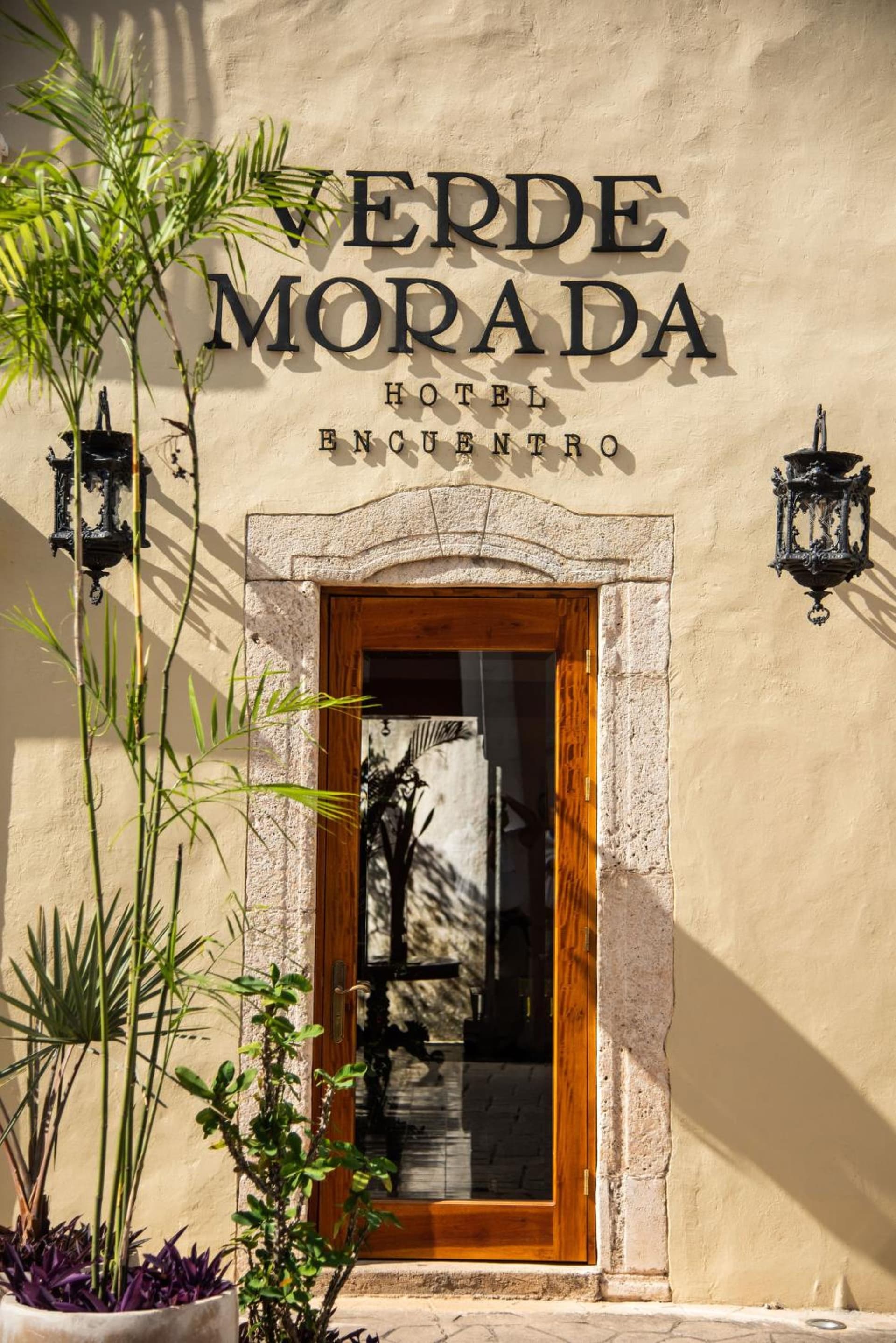 Verde Morada