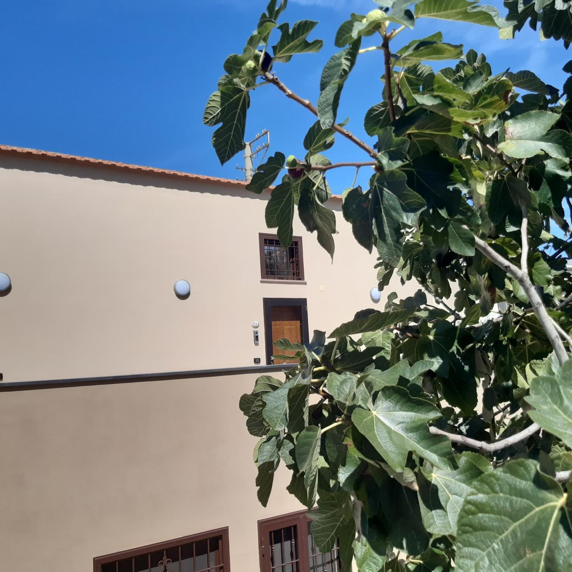 CASA SACA'