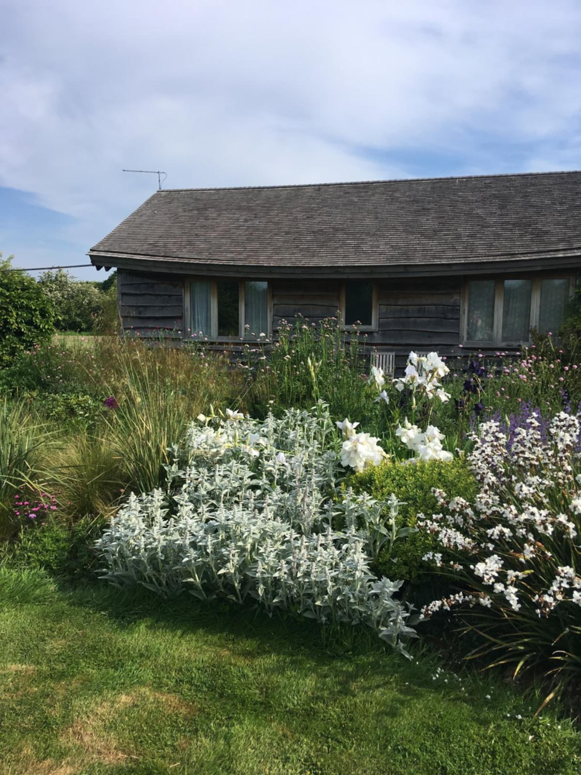 Three Oaks Nursery