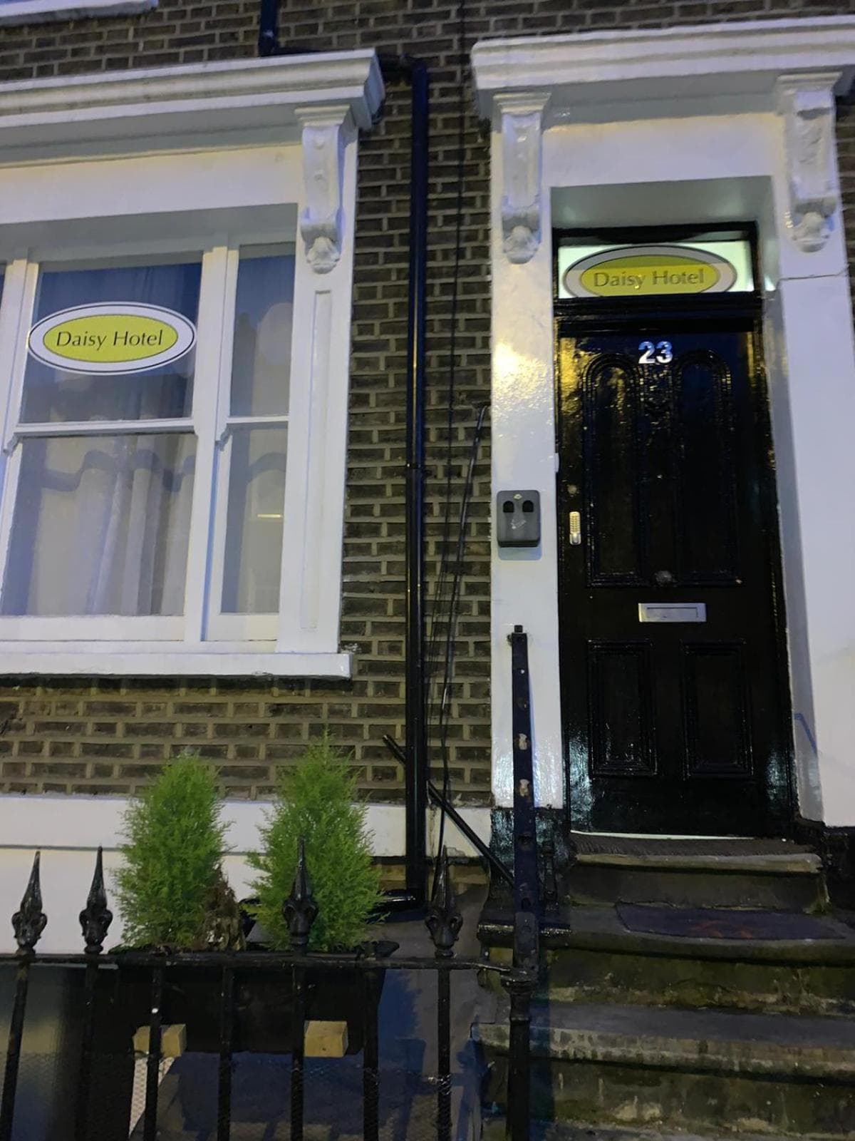 Daisy Hotel