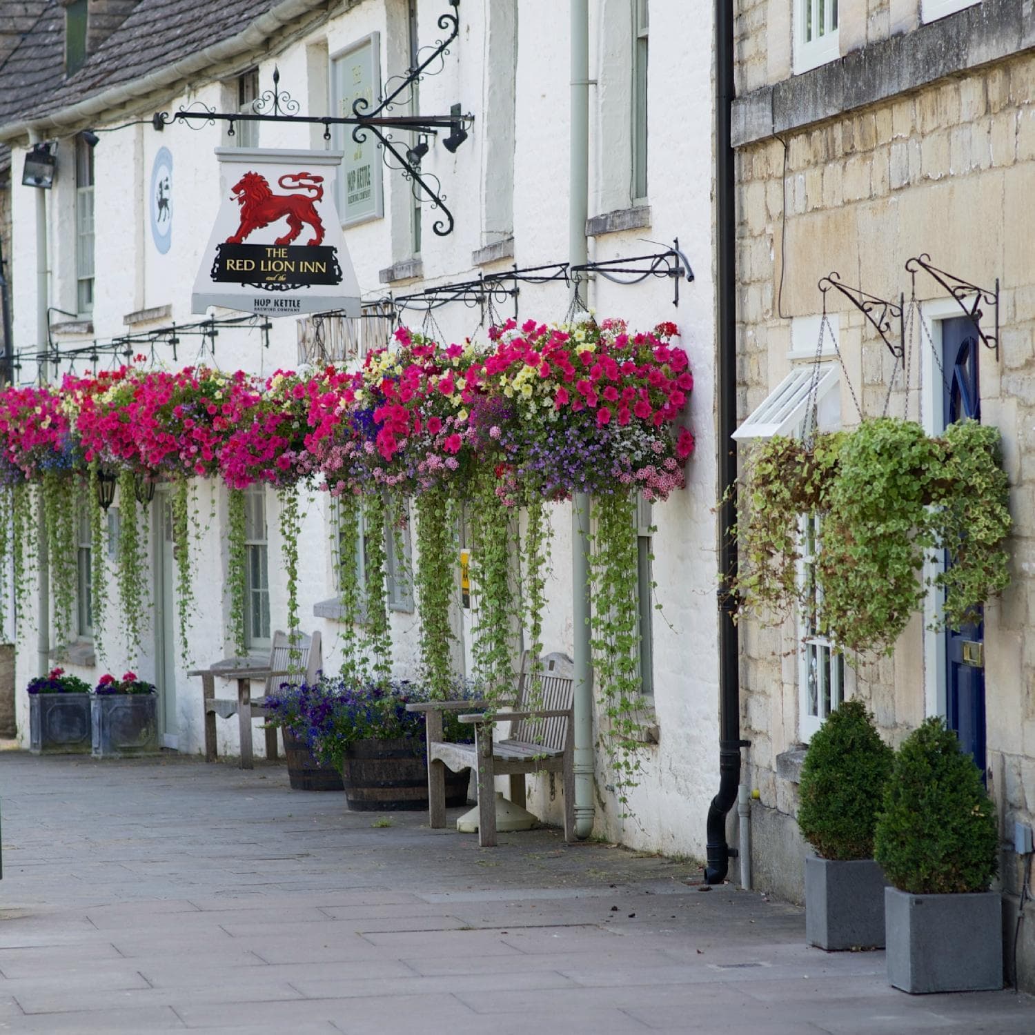 THE RED LION