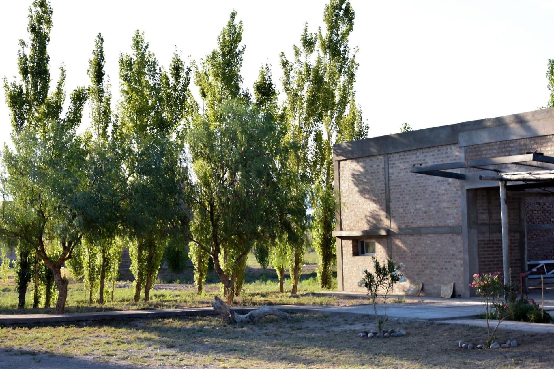 Cabañas de la bodega Romano-Pin