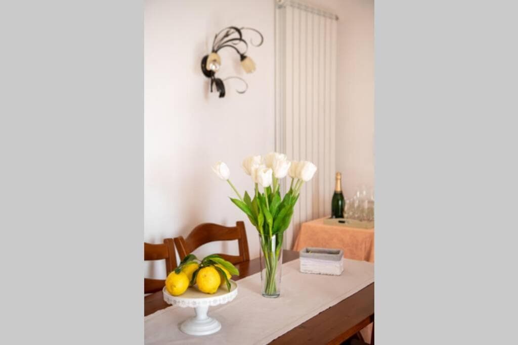 Villa Aurora Oasi Verde